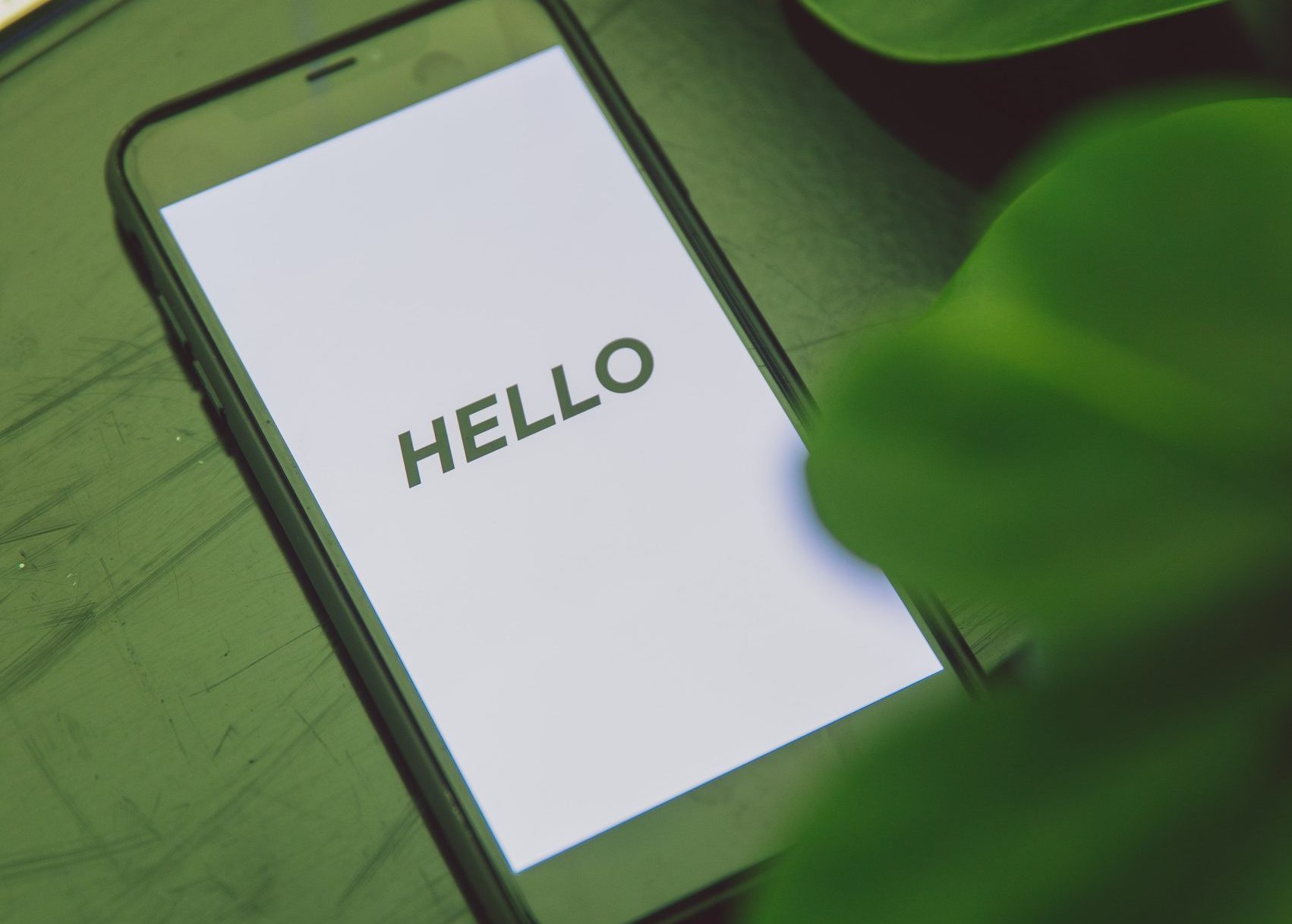 pexels-polina-zimmerman-3747142